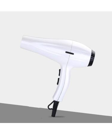 Hair Dryer 2000W Salon Hairdryer Professional Hair Dryer Airflow Concentrator Fast Drying and Low Noise Powerful Fast Dry Hair Dryer 2 Speed 3 Heat Setup Overheating Protection Power Cable 1.5 m small - Buy Online on GoSupps.com