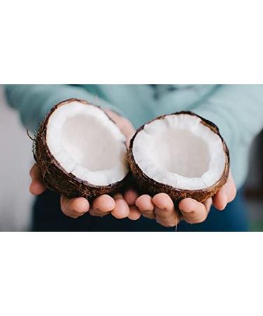 Fractionated Coconut Oil - Carrier Oil, Undiluted, Non-GMO, from Coconut Fruit not Palm - 32 oz - C8 C10, Natural, MCT, Carrier, Vegan for Skin, Hair, Nails, Body - Packaging May Vary - Buy Online on GoSupps.com