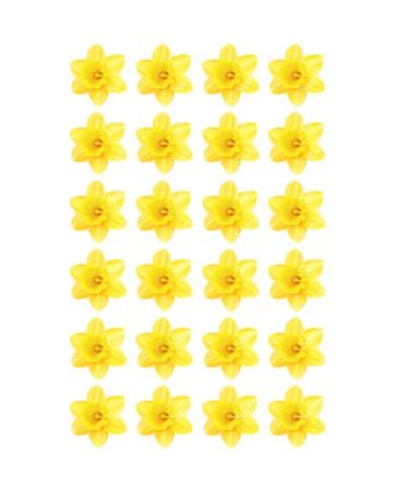 24 x PRECUT DAFFODIL EDIBLE WAFER CUPCAKE TOPPERS CAKE DECORATION - Buy Online on GoSupps.com