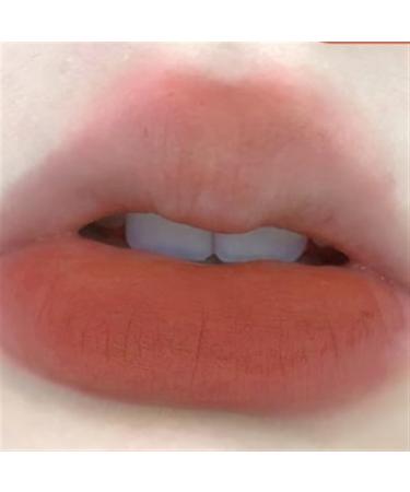 BADALO Velvet Mist Water Mist Lip Mud Soft Silky Matte Matte Vegan White NonStick Lip Gloss Lip Glaze Lipstick Color 3tangerine tea apricot - Buy Online on GoSupps.com