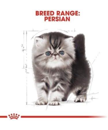 Royal Canin Persian Kitten 32 Dry Mix 400 g (Pack of 4) - Buy Online on GoSupps.com