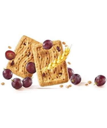 Gerbl Vitalit Raisin Biscuits Low in sugar Palm oil free 1 box of 16 biscuits 270 g - Buy Online on GoSupps.com