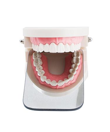 Dental Intraoral Rhodium Plated Double-Sided Glass Photographic Mirrors - Orthodontic Reflector for Intraoral Photography - Buy Online on GoSupps.com
