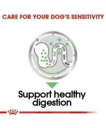 Royal Canin Digestive Care Adult Wet Dog Food 85g (Pack of 24) - Buy Online on GoSupps.com