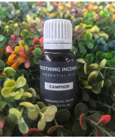 Camphor Essential Oils Pure Natural Aromatherapy Massage Oil - Therapeutic Grade - 100% Natural Incense - Pure essential oil (10ml) 1 Fl Oz (Pack of 1)