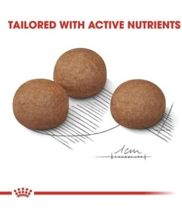 Royal Canin Maxi Digestive Care Adult Dry Dog Food 12kg - Buy Online on GoSupps.com