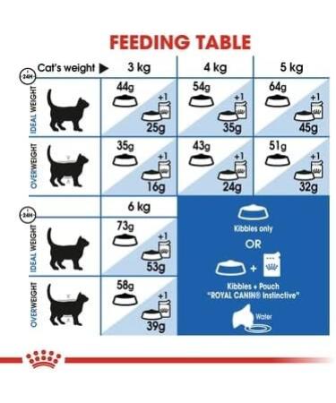 ROYAL CANIN Indoor Long Hair Cat Food 10kg - Buy Online on GoSupps.com