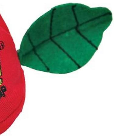 Buy Yeowww! Cat Toy Apple - Rosewood 631406 | International Shipping Available - Buy Online on GoSupps.com