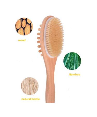 Femcery 16 Inch Long Handle Dry Brushing Body Brush for Back Exfoliation - Buy Online on GoSupps.com