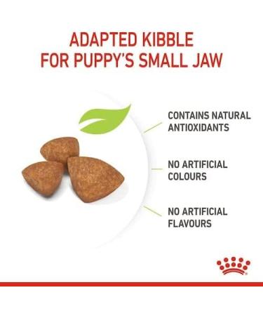 Royal Canin X-SMALL Puppy | 500g | Dry food for very small breed puppies | May contribute to the normal functioning of the immune system | With omega-3 - Buy Online on GoSupps.com