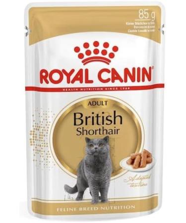 Royal Canin British Shorthair in GRAVY Wet Adult Cat Food (48 x 85g) - Buy Online on GoSupps.com