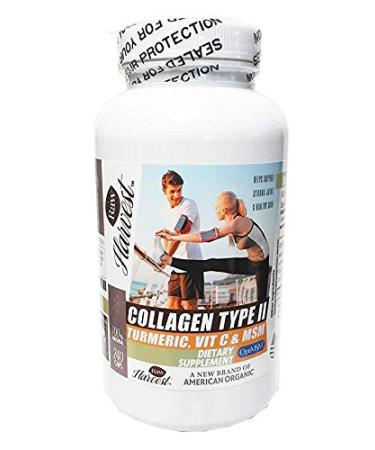 RawHarvest Collagen Type II with Turmeric Vitamin C & MSM 240 Capsules 1 Pack