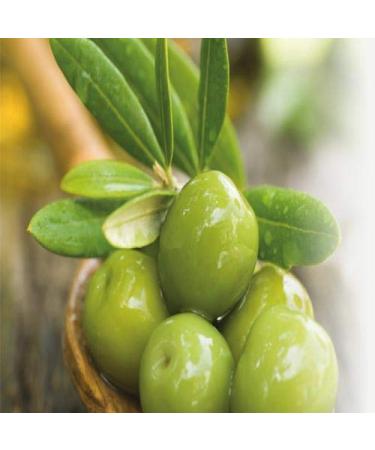 Cucina Hand Soap Set (Coriander and Olive Tree) - 200ml & 1L Refill - Buy Online on GoSupps.com
