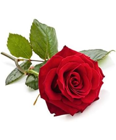 Buy 250ml Thai Lemongrass Aroma Oil - Premium Massage Oil with Authentic Thailand Scent - Buy Online on GoSupps.com