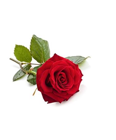 Rose - Thai aroma oil - 100ml - massage oil with the scent of Thailand - Rose oil