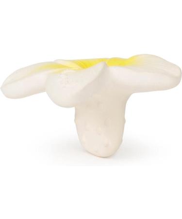 Bijtspeltje Chewy to Go - Hawaii Bloem | International Shipping | Best Quality for Toddlers - Buy Online on GoSupps.com