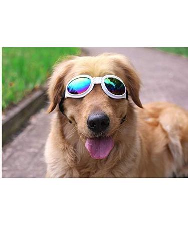 Doggles Dog Sunglasses Set of 6 - UV Protection Pet Goggles for Travel & Skiing - Buy Online on GoSupps.com