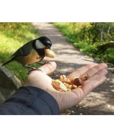 Peanuts in Shells 5kg Premium Safe Wild Bird Food Monkey Nuts Afflotoxin Free - Buy Online on GoSupps.com