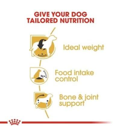 Royal Canin Beagle Adult Dry Dog Food 12kg - Buy Online on GoSupps.com