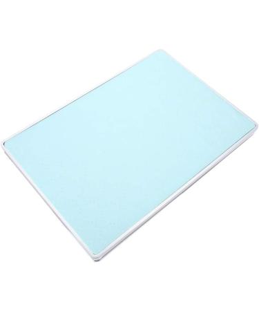Nail Color Display Book Nail Gel Color Display Chart Large Capacity Light Weight Reliable Durable Professional For Storing Nail Tips Nail Polish Home(blue) - Buy Online on GoSupps.com