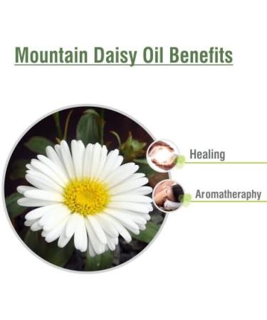 Mountain Daisy Essential Oil 100% Pure & Natural | Celmisia Spectabilis Aromatherapy | Therapeutic Grade Uncut Oil (100 ML) - International Shipping Available - Buy Online on GoSupps.com