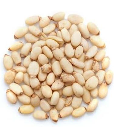 Yupik Pine Nuts Aa 1 kg 6 Count Gluten-Free Kosher Smooth & Creamy Pine Kernels Raw Nuts Shelled Unsalted Unroasted Oil-Free Source of Iron 6 kg - Buy Online on GoSupps.com