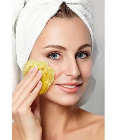 Constantia Beauty Premium Natural Sea Wool Sponges - Luxury Bath & Shower Gift Set - Soft Real Sponges for Facial Cleansing - Large & Medium Sizes - Buy Online on GoSupps.com