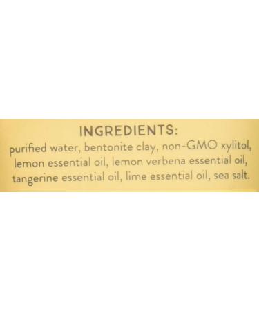 Lemon Twist Earthpaste - Natural Toothpaste 4 OZ | Best Organic Dental Care for Healthy Smiles - Buy Online on GoSupps.com