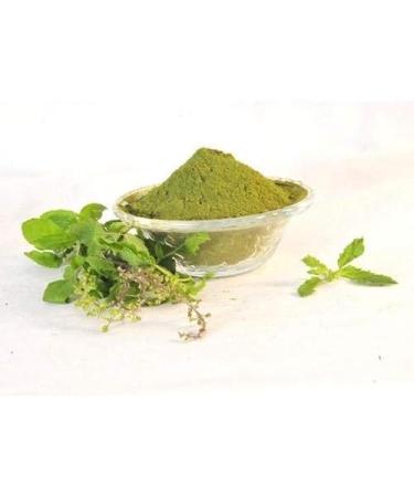 SEP AL MASNOON Tulsi Powder - Buy Online on GoSupps.com