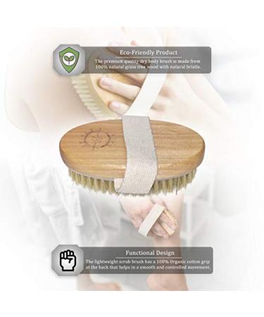 Spiffy Skin Wet & Dry Body Brush Exfoliator - Medium Soft Natural Bristle - Exfoliates Dead Skin, Slows Aging, Reduces Cellulite, Stimulates Blood Flow for Energy - Buy Online on GoSupps.com