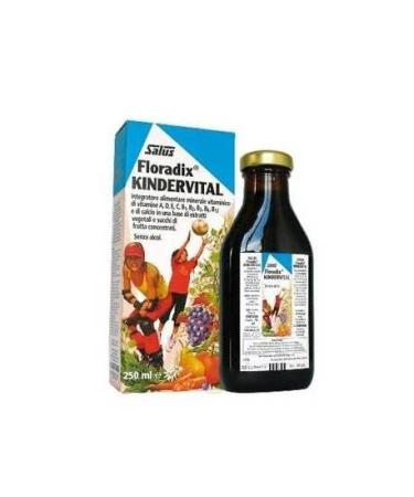Floradix Floradix Kindervital 250ml Kids Formula (Pack of 2)