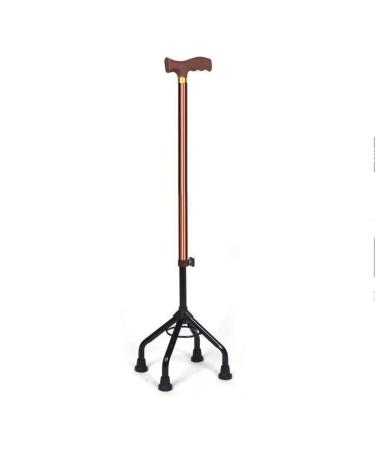 Walking Stick for Men and Women Lightweight Adjustable Durable & Portable A (B)