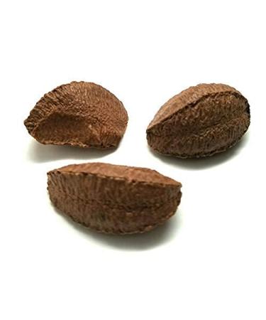 Buy Premium Raw Brazil Nuts In Shell - 10 lbs | Keto Vegan Non-GMO | High-Protein Snack | Convenient Packaging by Presto Sales - Buy Online on GoSupps.com