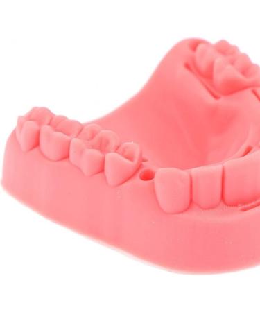Ericeion 2PC Dental Seam Practice Model | 3-in-1 Oral Seam Lessons | Soft Silicone Wound & Gingival Training Tools for Dental Students - Buy Online on GoSupps.com