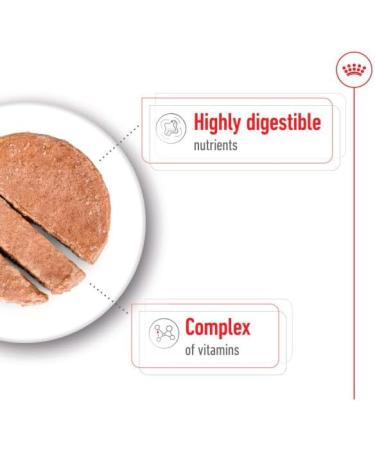 Royal Canin Mini Adult | 12 x 195 g | Wet Food for Small Breed Adult Dogs (1 to 10 kg) | From 10 Months to 12 Years | Adapted energy content - Buy Online on GoSupps.com