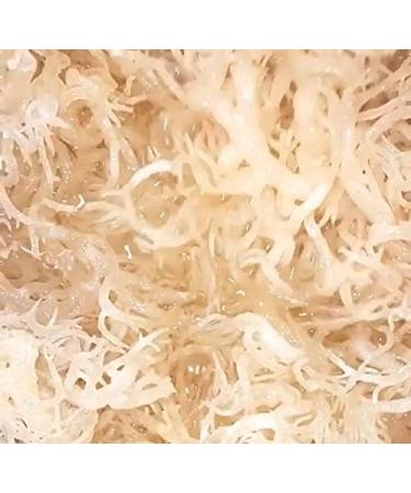 Premium Raw Sea Moss (Gold) 1kg - Pack of 1 | High-Quality Superfood - Buy Online on GoSupps.com
