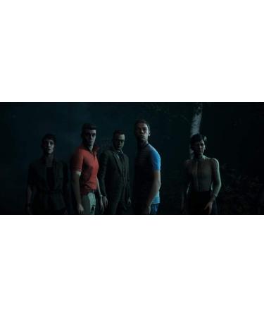 The Dark Pictures Anthology: Little Hope (PS4) - Interactive Horror Game for PlayStation 4 - Buy Online on GoSupps.com
