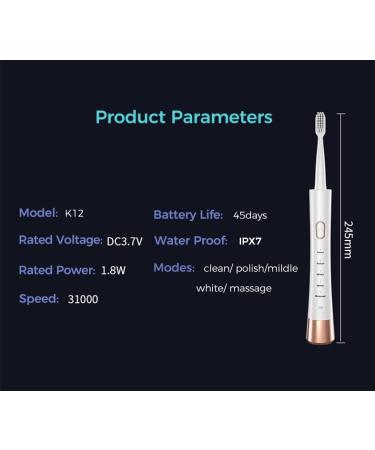 AUZZO Sonic Electric Toothbrush for Adults 6 Modes USB Rechargeable International Shipping Available - Buy Online on GoSupps.com