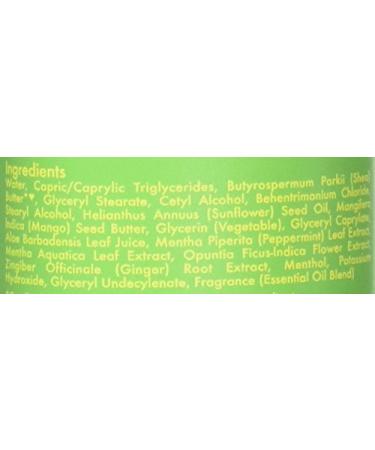 Shea Moisture African Water Mint & Ginger Detox Body Lotion 13 oz - Buy Online Now - Buy Online on GoSupps.com