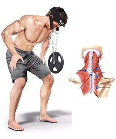 Hawk Sports Neck Harness for Strength Training - Adjustable Strap & Steel Chain for Stronger Neck & Traps - Buy Online on GoSupps.com