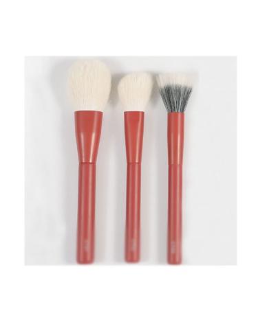 10-Piece Cosmetic Brush Set | Eye Shadow Eyebrow & Halo Brushes - International Shipping - Buy Online on GoSupps.com