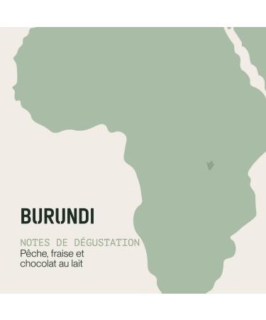 Incapto Specialty Coffee Beans | Origin Burundi | 100% Arabica | Specialty Coffee 87.75 SCA points | Artisanal Roasting | Buhinyuza Estate Nyagishiru | 1kg Pack - Buy Online on GoSupps.com