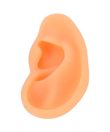 Soft Lifelike Silicone Flexible Left Ear Display Mould for Hospitals - Buy Online on GoSupps.com
