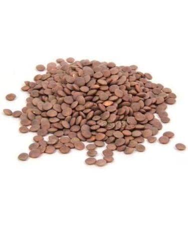 CROW Masoor Dal Whole Masoor Whole Whole Masoor Dal (500 GMS) Masoor Dal Whole Masoor Whole Whole Masoor Dal (500 GMS) - Buy Online on GoSupps.com