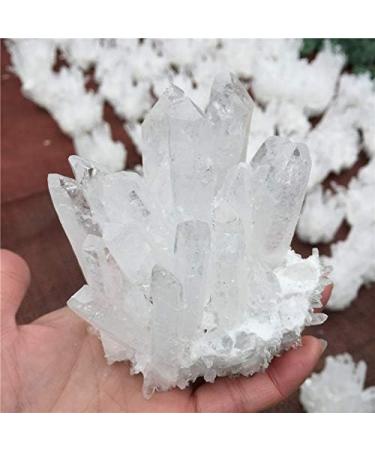 FAIRYT Natural Rock Quartz Clear Specimen - Home Decoration Gemstone & Headwear for Unique Style - Buy Online on GoSupps.com