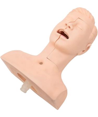 CHROX PVC Nasal Cavity Oral Suction Training Model (Medical Model) Advanced Suction Practice Model for Nursing Medical Training - Buy Online on GoSupps.com