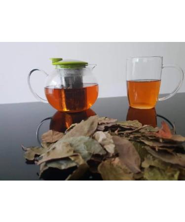 Kinkeliba leaves 100 g feulle de kink liba Deggeh seh haw sehhaw feiba kenkeliba djeka qinkeliba natural and wild - Buy Online on GoSupps.com