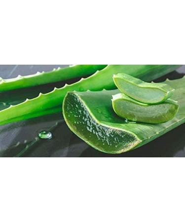 Organic Aloe Vera Powder - Premium Quality for Face, Hair, Smoothies & Baking - 100g - Buy Online on GoSupps.com