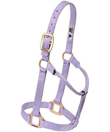 WEAVER Leather Non-Adjustable Halter - Lavender Large Horse | Premium Quality & International Shipping - Buy Online on GoSupps.com