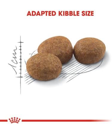 Royal Canin Appetite Control Care Adult Dry Cat Food 400g - Buy Online on GoSupps.com